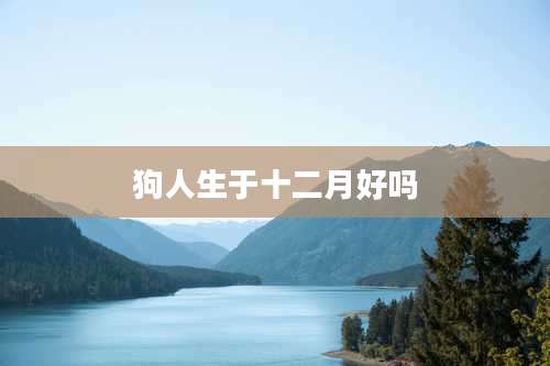 狗人生于十二月好吗