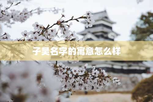 子昊名字的寓意怎么样
