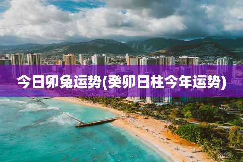 今日卯兔运势(癸卯日柱今年运势)