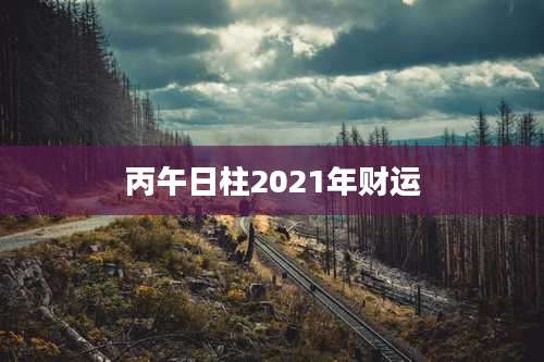 丙午日柱2021年财运