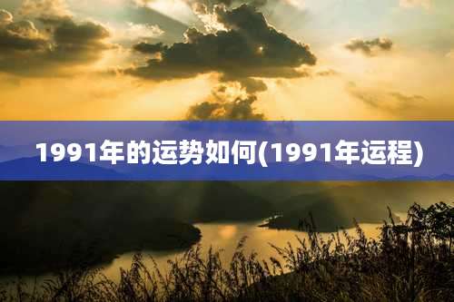 1991年的运势如何(1991年运程)