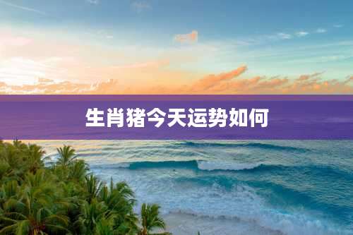 生肖猪今天运势如何