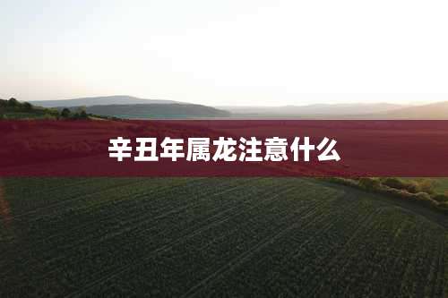 辛丑年属龙注意什么