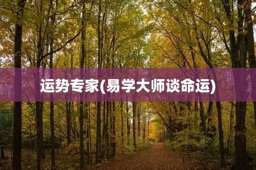 运势专家(易学大师谈命运)