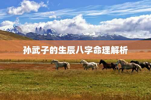 孙武子的生辰八字命理解析