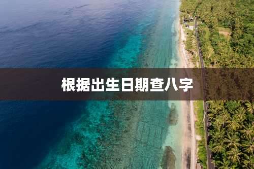 根据出生日期查八字