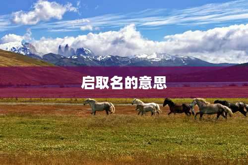 启取名的意思