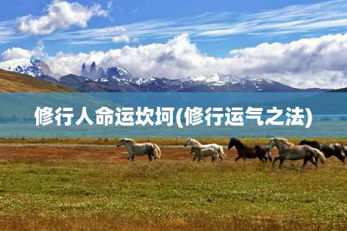 修行人命运坎坷(修行运气之法)