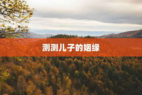 测测儿子的姻缘