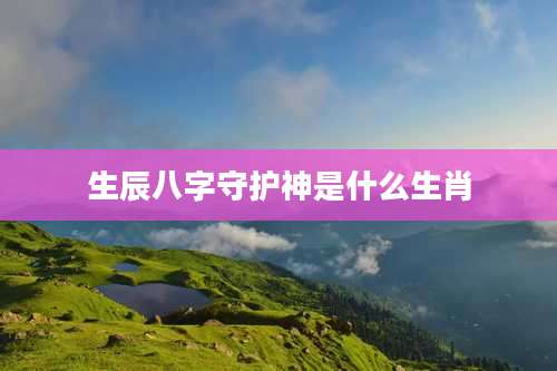 生辰八字守护神是什么生肖