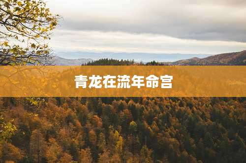 青龙在流年命宫