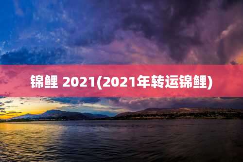 锦鲤 2021(2021年转运锦鲤)