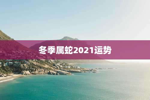 冬季属蛇2021运势