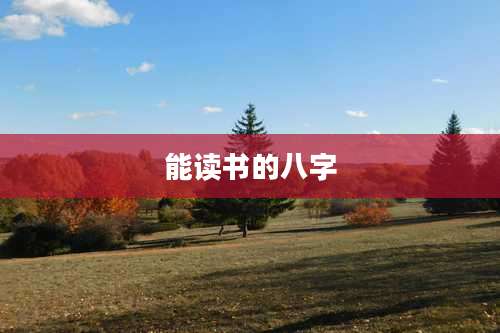能读书的八字