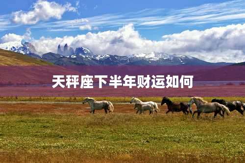 天秤座下半年财运如何