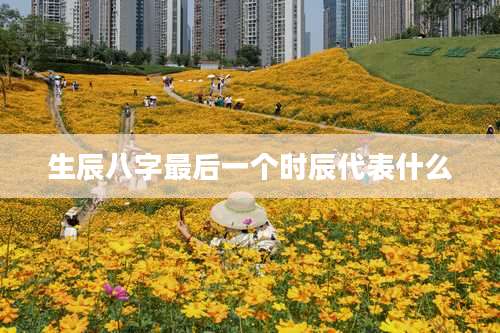 生辰八字最后一个时辰代表什么