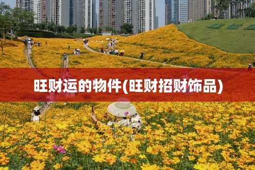 旺财运的物件(旺财招财饰品)