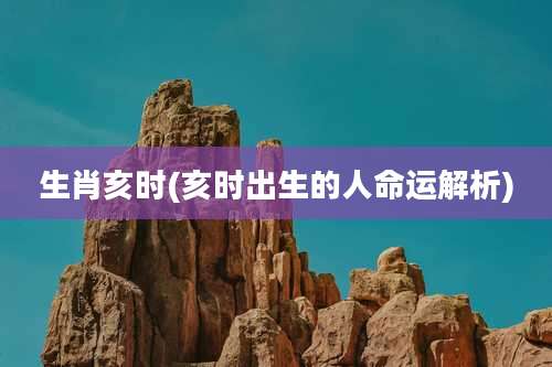 生肖亥时(亥时出生的人命运解析)