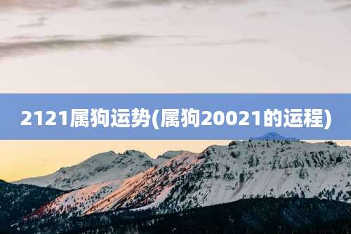 2121属狗运势(属狗20021的运程)
