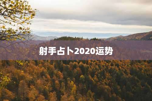射手占卜2020运势