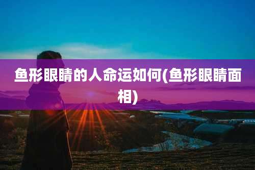 鱼形眼睛的人命运如何(鱼形眼睛面相)