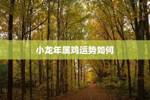 小龙年属鸡运势如何