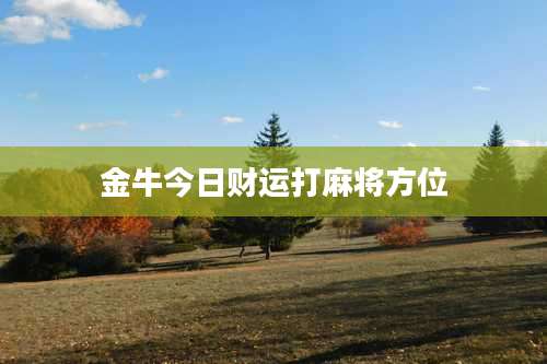 金牛今日财运打麻将方位