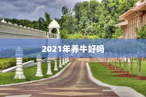 2021年养牛好吗