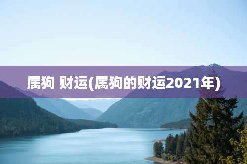 属狗 财运(属狗的财运2021年)