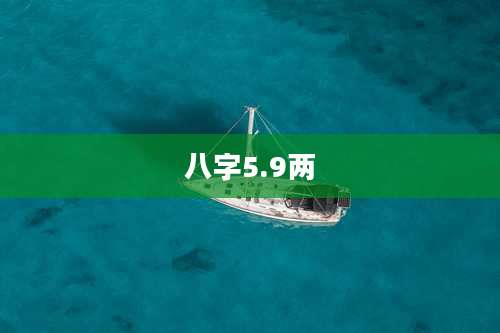 八字5.9两
