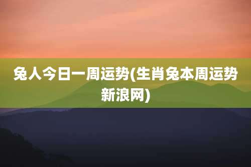 兔人今日一周运势(生肖兔本周运势新浪网)
