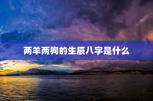 两羊两狗的生辰八字是什么