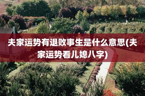 夫家运势有退败事生是什么意思(夫家运势看儿媳八字)