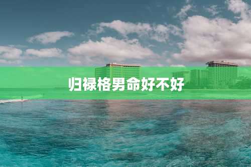 归禄格男命好不好