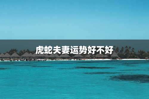 虎蛇夫妻运势好不好