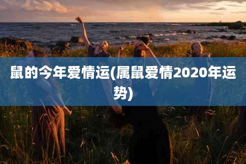 鼠的今年爱情运(属鼠爱情2020年运势)