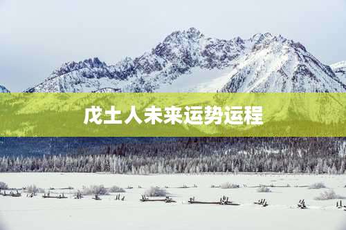 戊土人未来运势运程