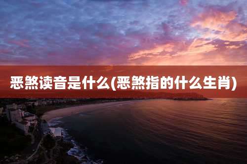恶煞读音是什么(恶煞指的什么生肖)