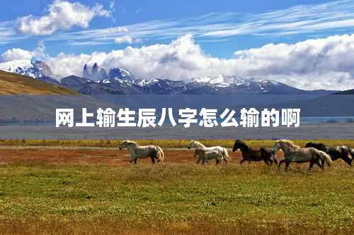 网上输生辰八字怎么输的啊