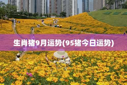 生肖猪9月运势(95猪今日运势)