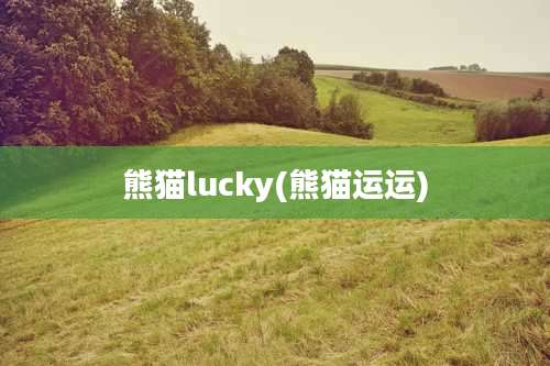 熊猫lucky(熊猫运运)