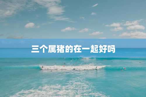 三个属猪的在一起好吗