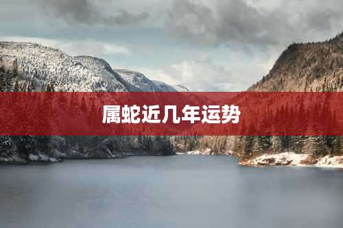 属蛇近几年运势