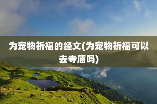 为宠物祈福的经文(为宠物祈福可以去寺庙吗)