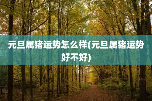 元旦属猪运势怎么样(元旦属猪运势好不好)