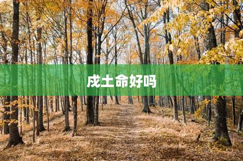 戍土命好吗
