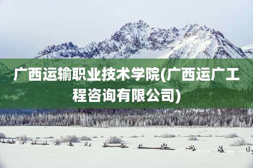 广西运输职业技术学院(广西运广工程咨询有限公司)