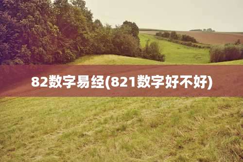 82数字易经(821数字好不好)