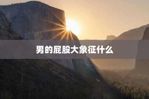 男的屁股大象征什么