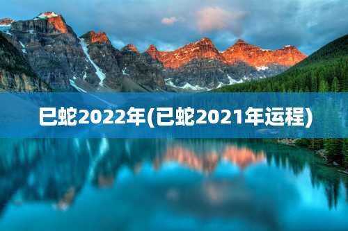 巳蛇2022年(已蛇2021年运程)